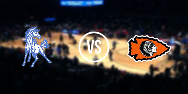 Brimley Area High School vs Newberry High School