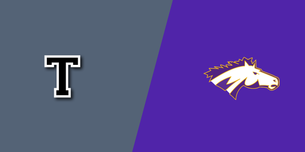 The Villages Charter vs. Meadowbrook Academy