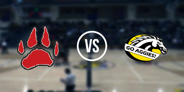 Dansville High School vs Laingsburg High School