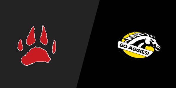 Laingsburg High School vs. Dansville High School