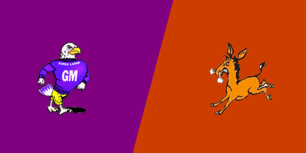 Grand Meadow High School vs. Lanesboro High School