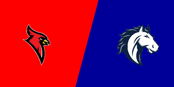 Dryden High School vs. North Branch High School