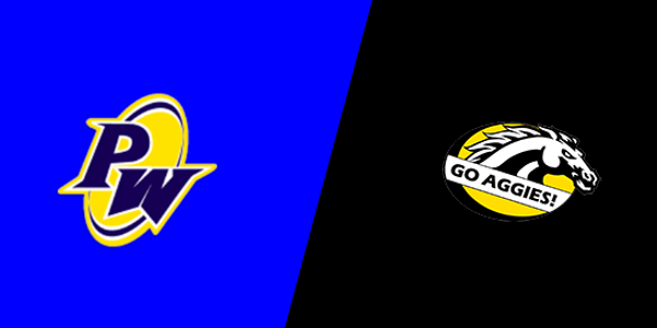 Pewamo-Westphalia High School vs. Dansville High School