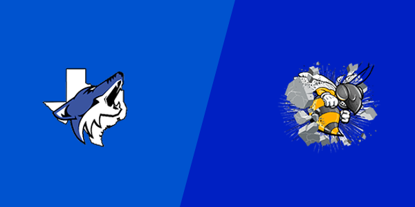 Match Thumbnail