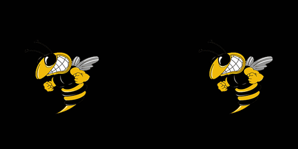 McAdory High School