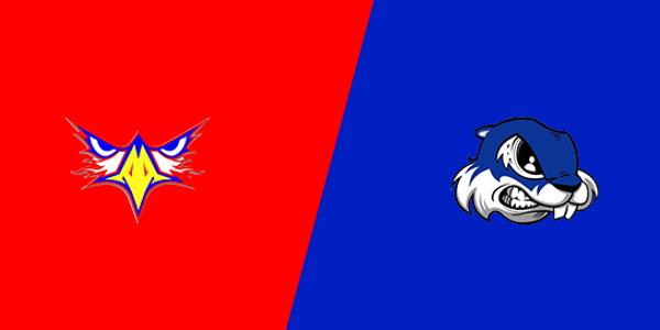 Match Thumbnail