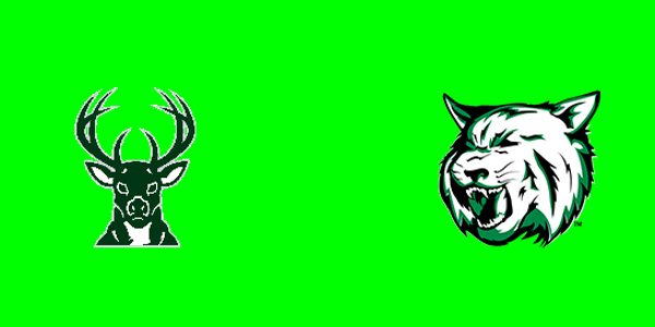 Pine River Area High School vs. Houghton Lake High School