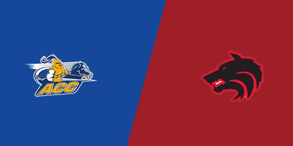 Aurora Central Catholic High School vs. Indian Creek High School