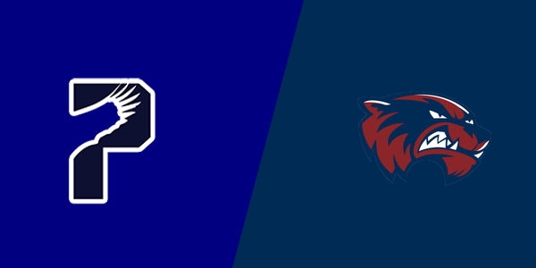 Woodstock Wolverines vs Pebblebrook Falcons