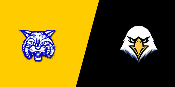 McNairy Central High School vs. Chester County High School