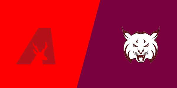 Avonworth High School vs. Beaver Area High School