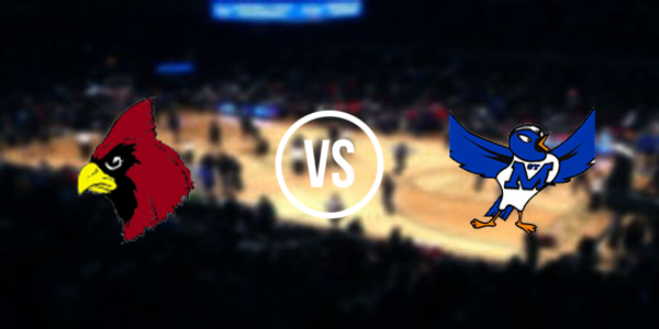 Johannesburg-Lewiston High School vs St. Mary Cathedral High School