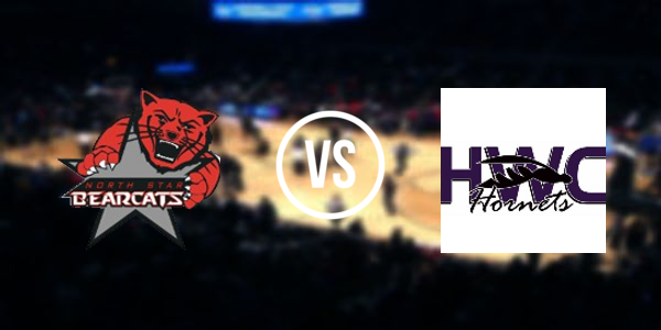 Fessenden-Bowdon High School - Wells County vs North Star High School