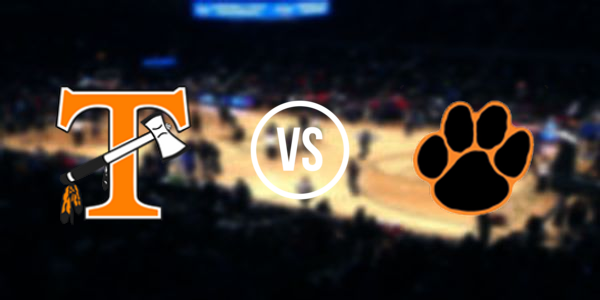 Hudson Area High School vs Tecumseh High School