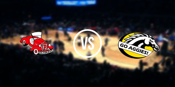 Dansville High School vs Perry High School