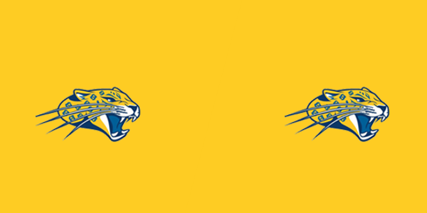 Mae Jemison High School