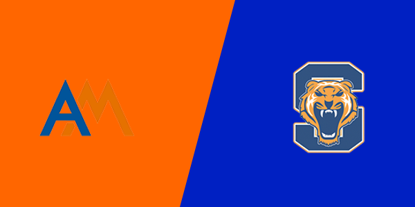 Auburn Mountainview High School vs. Stadium High School