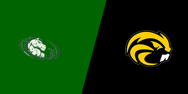 Strongsville vs. Riverside High School - Painesville