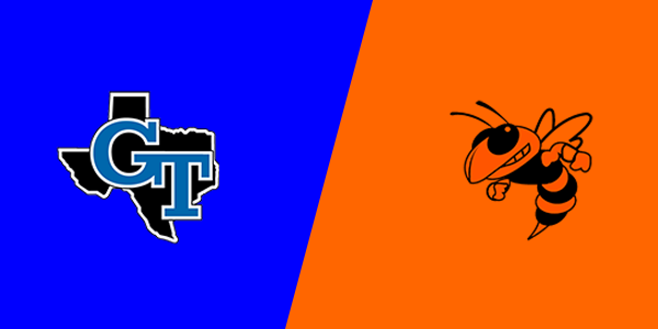GUNTER v MINEOLA
