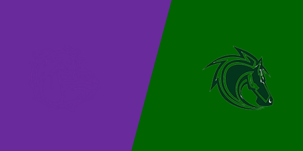 Match Thumbnail