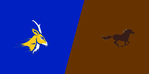 Whiteface High School vs. Sands High School