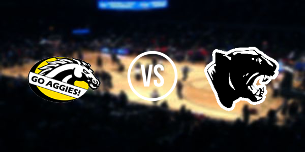 Dansville High School vs. Stockbridge JrSr High School