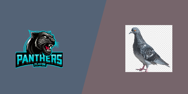 Playon Panther vs. Generic High School