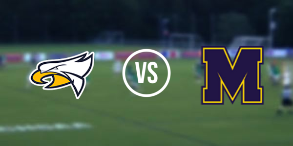 Hudsonville High School vs Mattawan High School