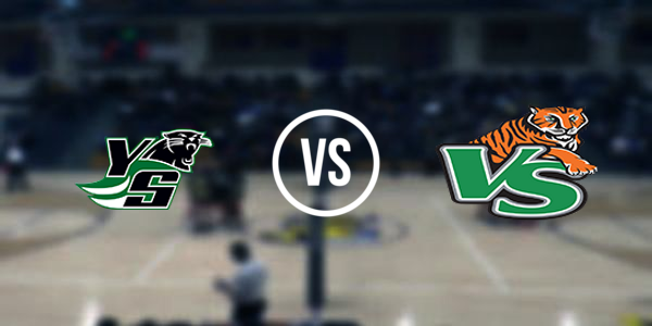 Valley Springs High School vs Yellville-Summit High School