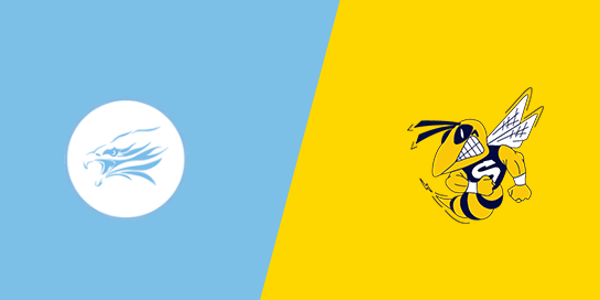 Skyline High School vs. Saline High School