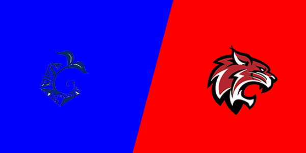 Rudolf Steiner School vs. Washtenaw Christian Academy