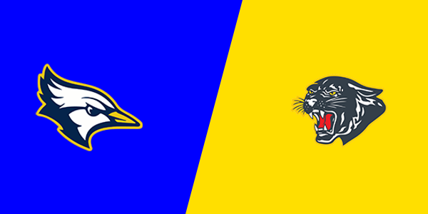 Shepherd High School vs. Standish-Sterling Central High School