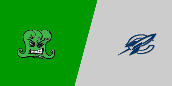 Narrows High School vs. Craig County High School