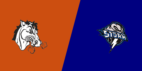 South Fork vs. Sangamon Valley High School