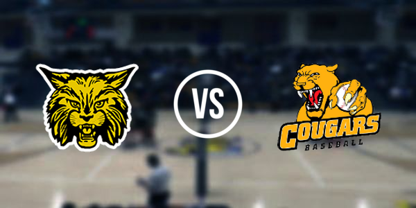 Carrier Mills-Stonefort High School vs Hardin County High School