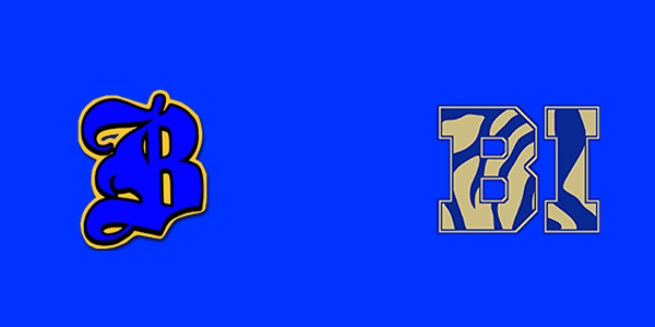 Brunswick High School vs. Bradwell Institute