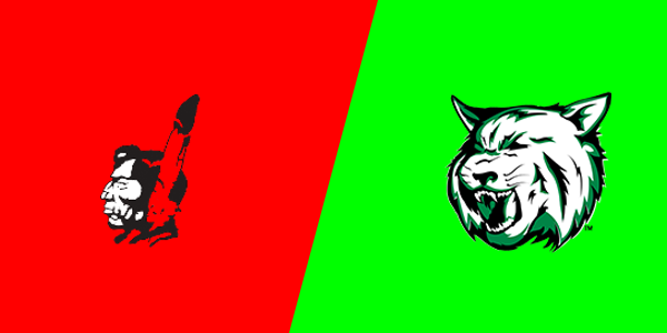 Tawas Area High School vs. Houghton Lake High School