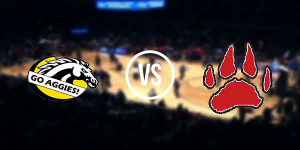 Dansville High School vs Laingsburg High School