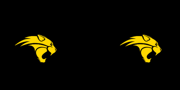 Western High School