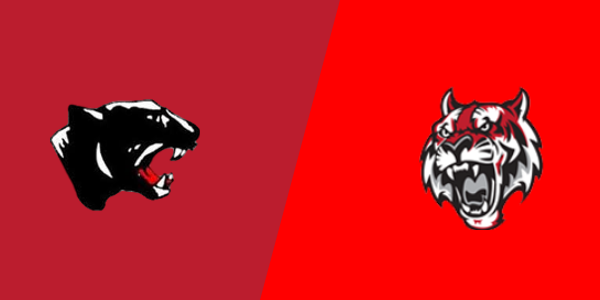 Schuylkill Valley High School vs. Fleetwood Area High School