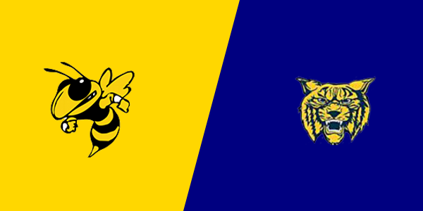 Vanderbilt Area School vs. Wolverine High School
