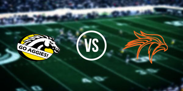 Dansville High School vs Fennville High School