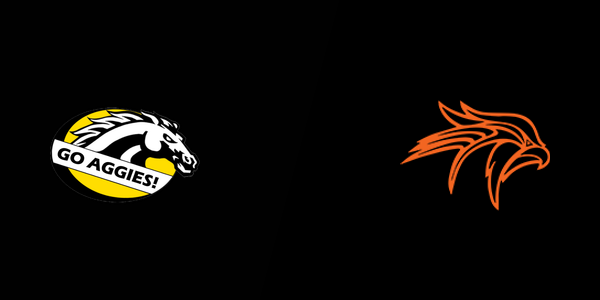 Dansville High School vs. Fennville High School