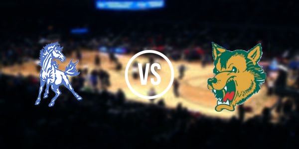 Carney-Nadeau High School vs. Brimley Area High School