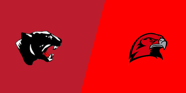 Schuylkill Valley High School vs. Hamburg Area High School