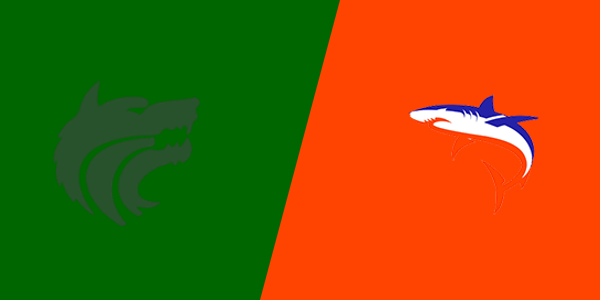 Vigor High School vs. Orange Beach High School