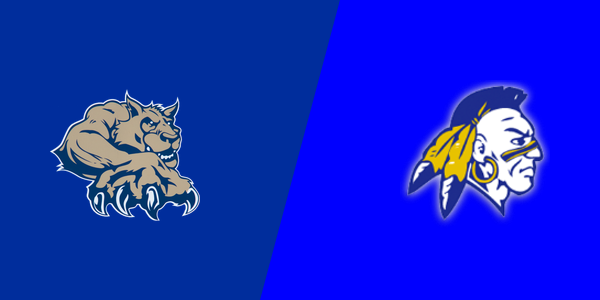 Lakeview High School vs. Morley Stanwood High School