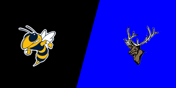 Ferndale Area High School vs. Salisbury Elk Lick High School