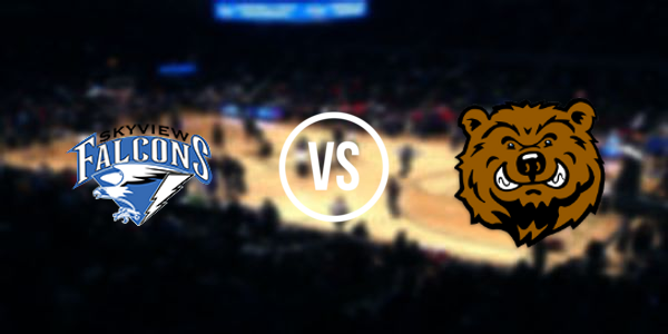Capital vs Skyview