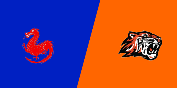 Niles Mckinley vs. Howland High School